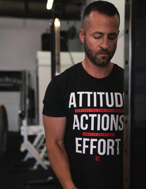 CED Attitude Action Effort (Controllables)