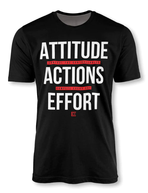 CED Attitude Action Effort (Controllables)