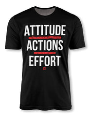 CED Attitude Action Effort (Controllables)