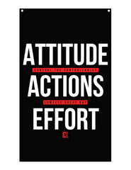 CED Attitude Action Effort (Controllables)